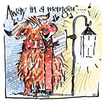 Caroling Cow - Highland Cow Christmas Card