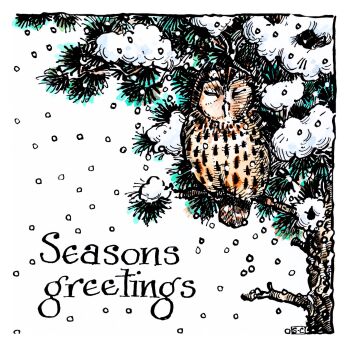 Christmas Owl - British Wildlife Card