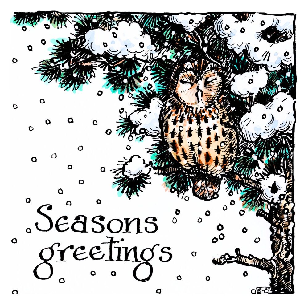 Christmas Owl - British Wildlife Card