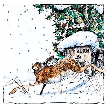 Christmas Hare - British Wildlife Card