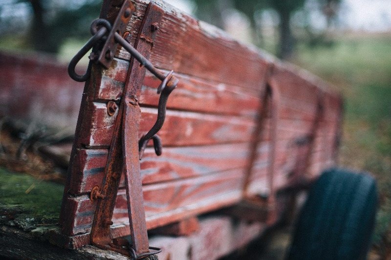 Rustic Bench
