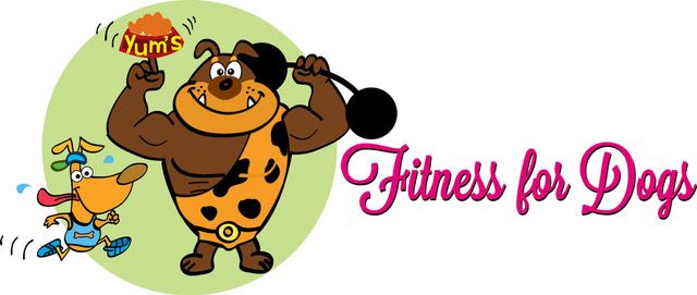 fitness for dogs, dog walking leamington spa