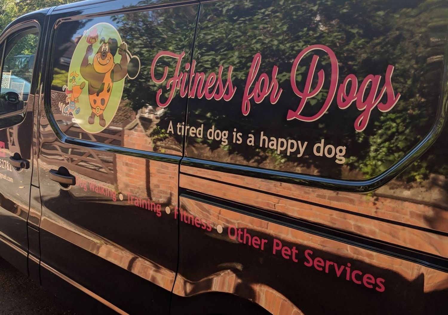 fitness for dogs, dog walking in Leamington