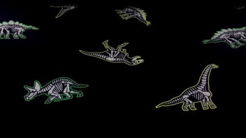 BLACK GLOW IN THE DARK DINO COTTON JERSEY