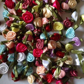 mini roses mini roses