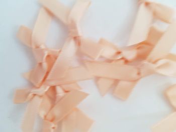 Peach Bow (Pack of 15)