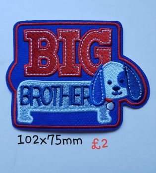 Big Brother Motif