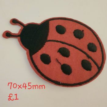 Ladybug / Ladybird Motif