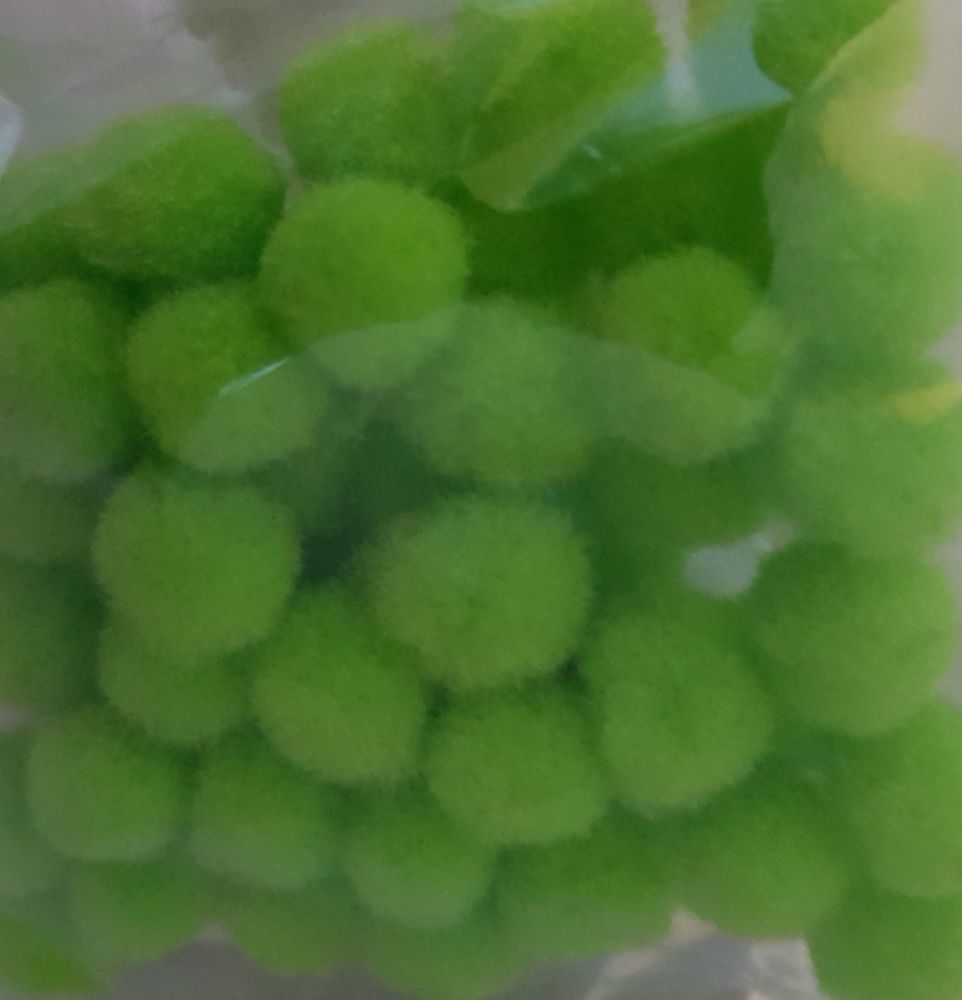 Lime Green Pom Poms 10mm (Pack of 50)