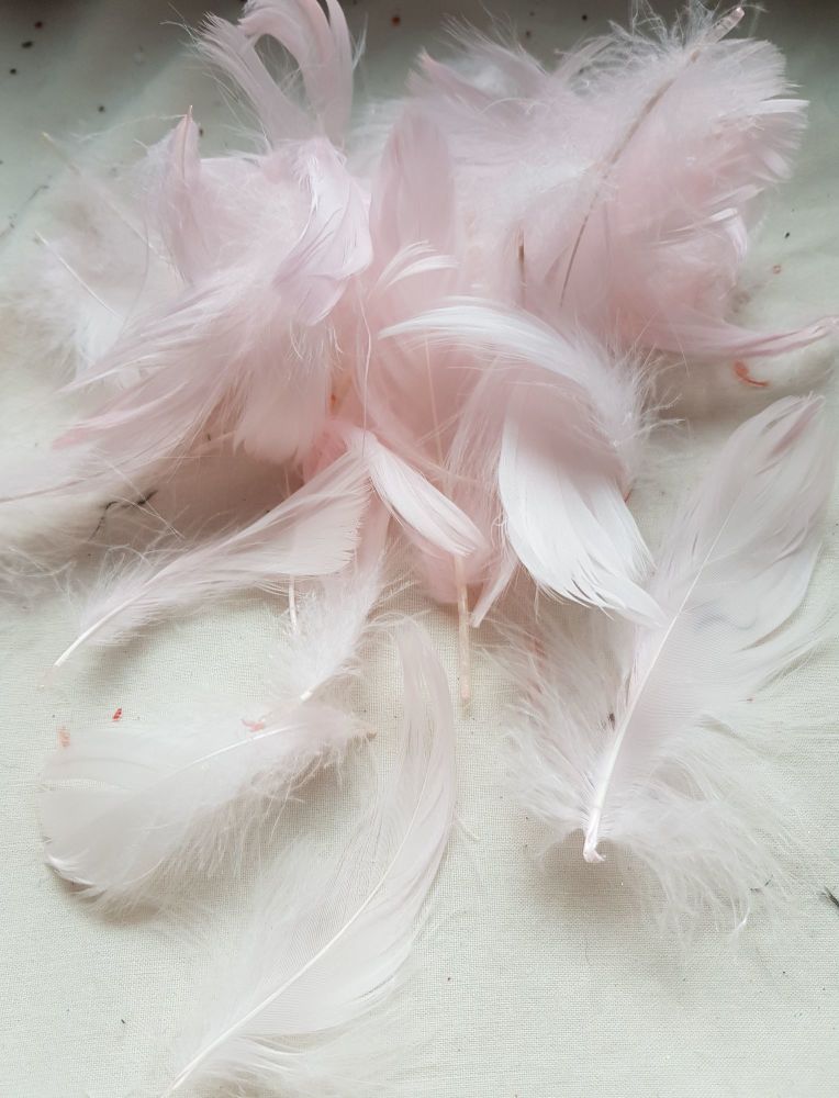 Pink Feathers (approx .25 per pack)