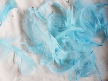 Blue Feathers (approx .25 per pack)