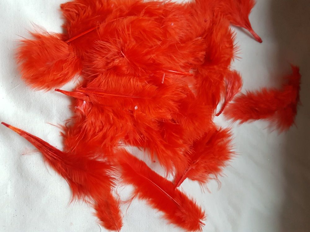 Red Feathers (approx .25 per pack)