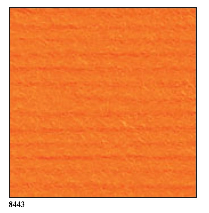 Orange Top Value DK 100g  (8443)