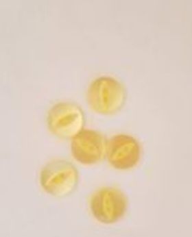 Lemon Fisheye Button 19mm (Pack of 8)