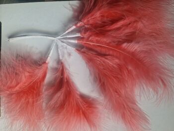 Long Stem Feathers -Salmon Pink - 6 stems Was £1.50