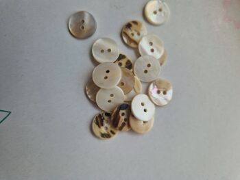 Shell Buttons 13mm (each)