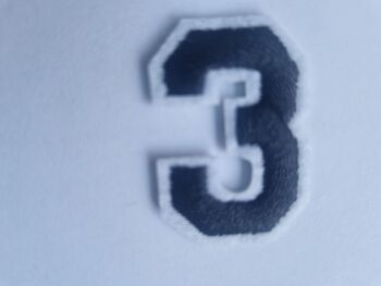 Number Motif  " 3  " - 4cm Smaller