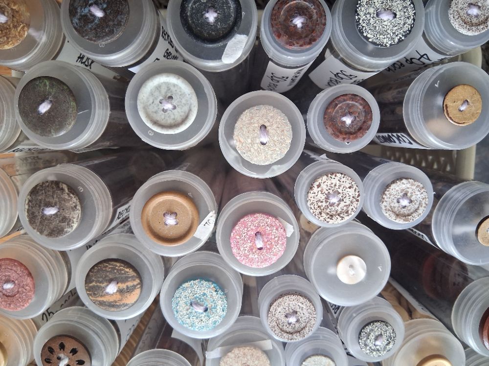 Buttons - Eco-conscious