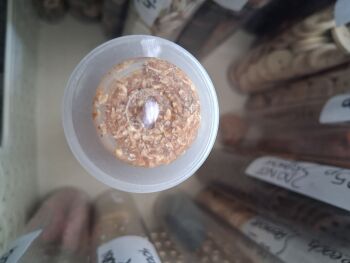 Recycled Corn Husk Buttons - Beige/Clear 25mm (each)