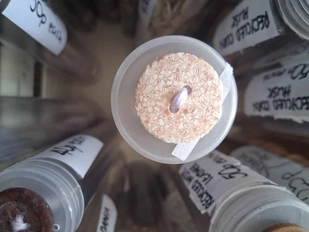 Recycled Eggshell Buttons - Beige 18mm (each)