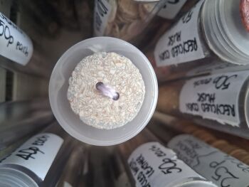Recycled Eggshell Buttons - Grey 18mm (each)