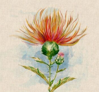Thistle Linen Look Panel (each)