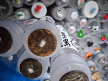 Recycled Coffee Grounds Buttons - Black/Amber 18mm (each)