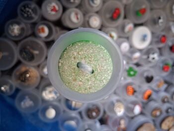 Recycled Eggshell Buttons - Green 20mm (each)