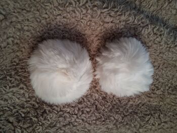 Short hair fluffy Pom Pom / Elastic Loop to Fasten - White NOW HALF PRICE