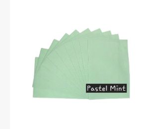 Acrylic Felt - A4 size - Pastel Mint (each)