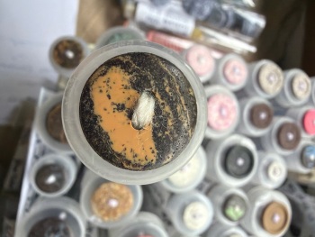 Recycled Coffee Grounds Buttons - Black/Amber 20mm (each)