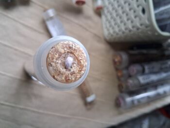 Recycled Corn Husk Buttons - Beige/Clear 15mm (each)