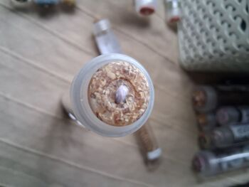 Recycled Corn Husk Buttons - Beige/Clear 20mm (each)