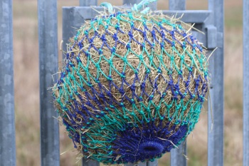 Des16.  Shetland small mesh