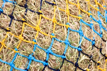 Cob  stripe  small mesh nets 6kg    Over sized