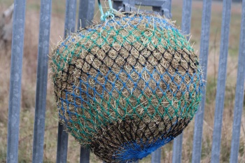 stripe  35mm mesh nets  horse size
