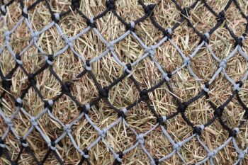 Horse stripe  small mesh nets 6kg