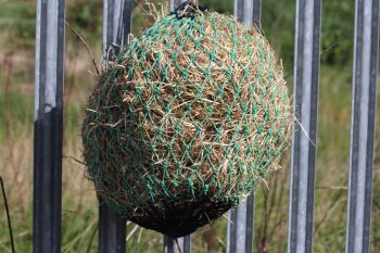 Shetland small mesh