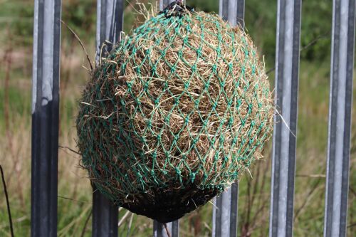 Shetland small mesh Preorder