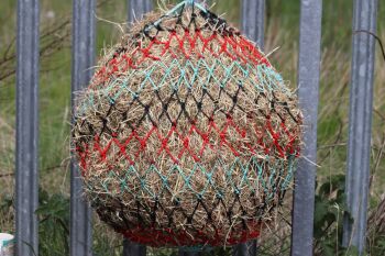 Cob  stripe  large mesh nets 6kg
