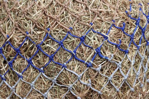 Horse size stripe  small mesh nets