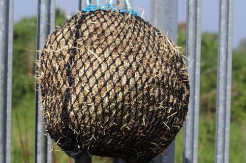 2ft SLOW FEEDER SHETLAND/SMALL Pony 25mm mesh   holds 4kg of hay