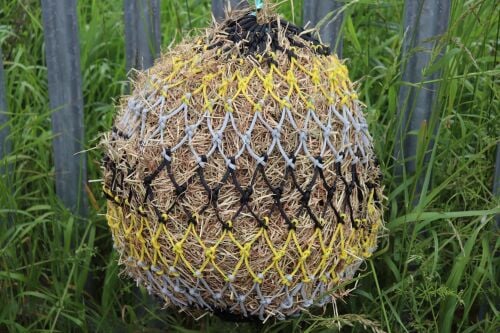 2FT SMALL MESH NET 2kg FILL