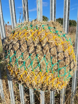 Cob  stripe  large  mesh nets 6kg
