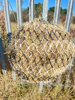 Cob  stripe  large  mesh nets 6kg