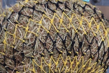 Horse size stripe  small mesh nets preorder