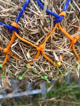 Cob  stripe  large  mesh nets 6kg