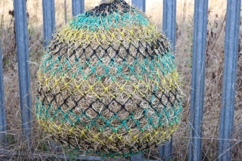 Horse size stripe  small mesh nets