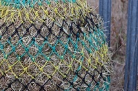 Cob  stripe  small mesh nets 6kg