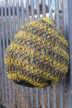 Horse size stripe  small  mesh nets